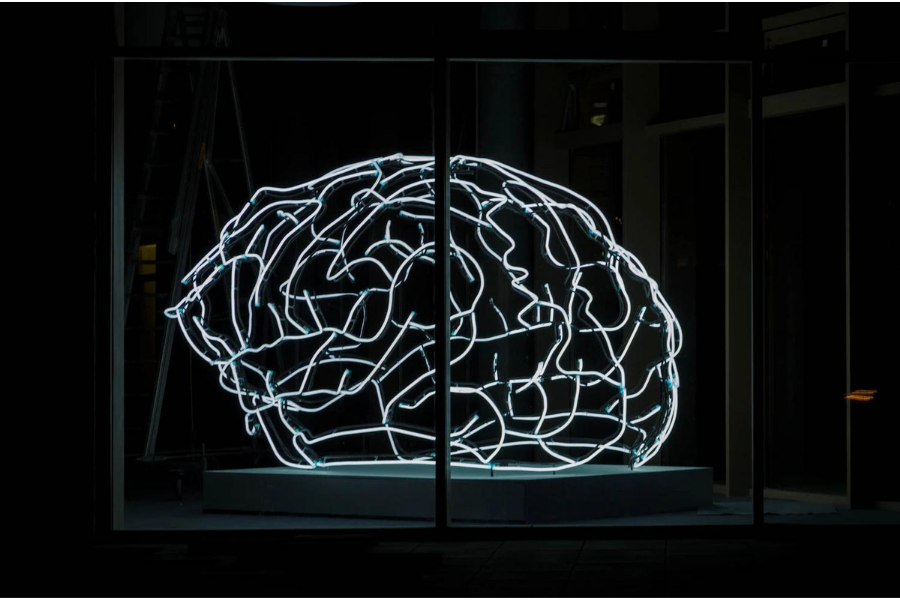 Santé mentale et intestinale : quel lien avec les probiotiques ?