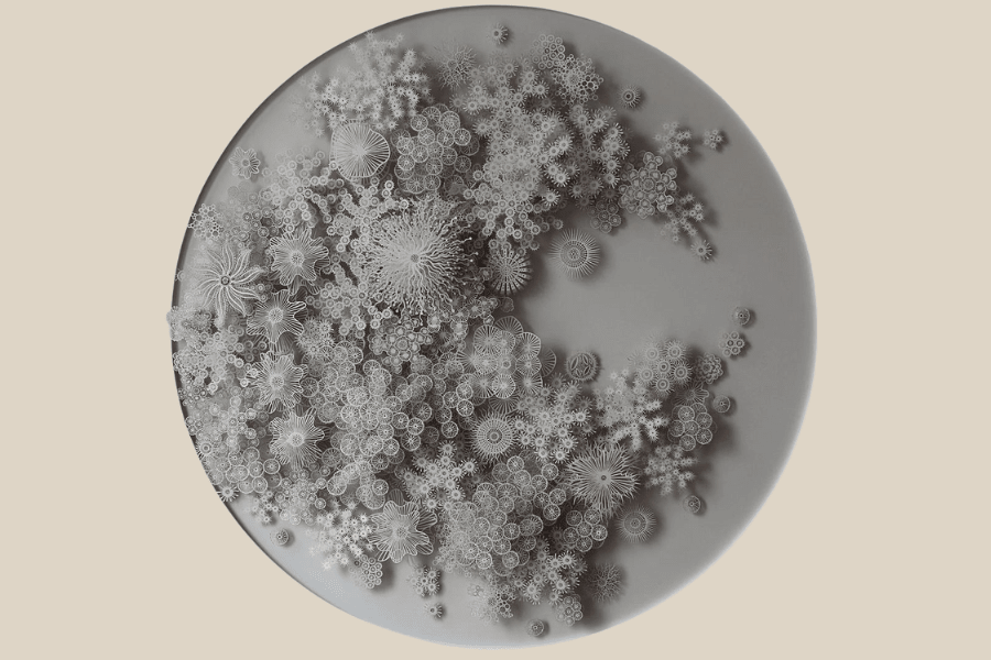 La flore intestinale (microbiote) : qu’est-ce que c’est ? - noobiotik
