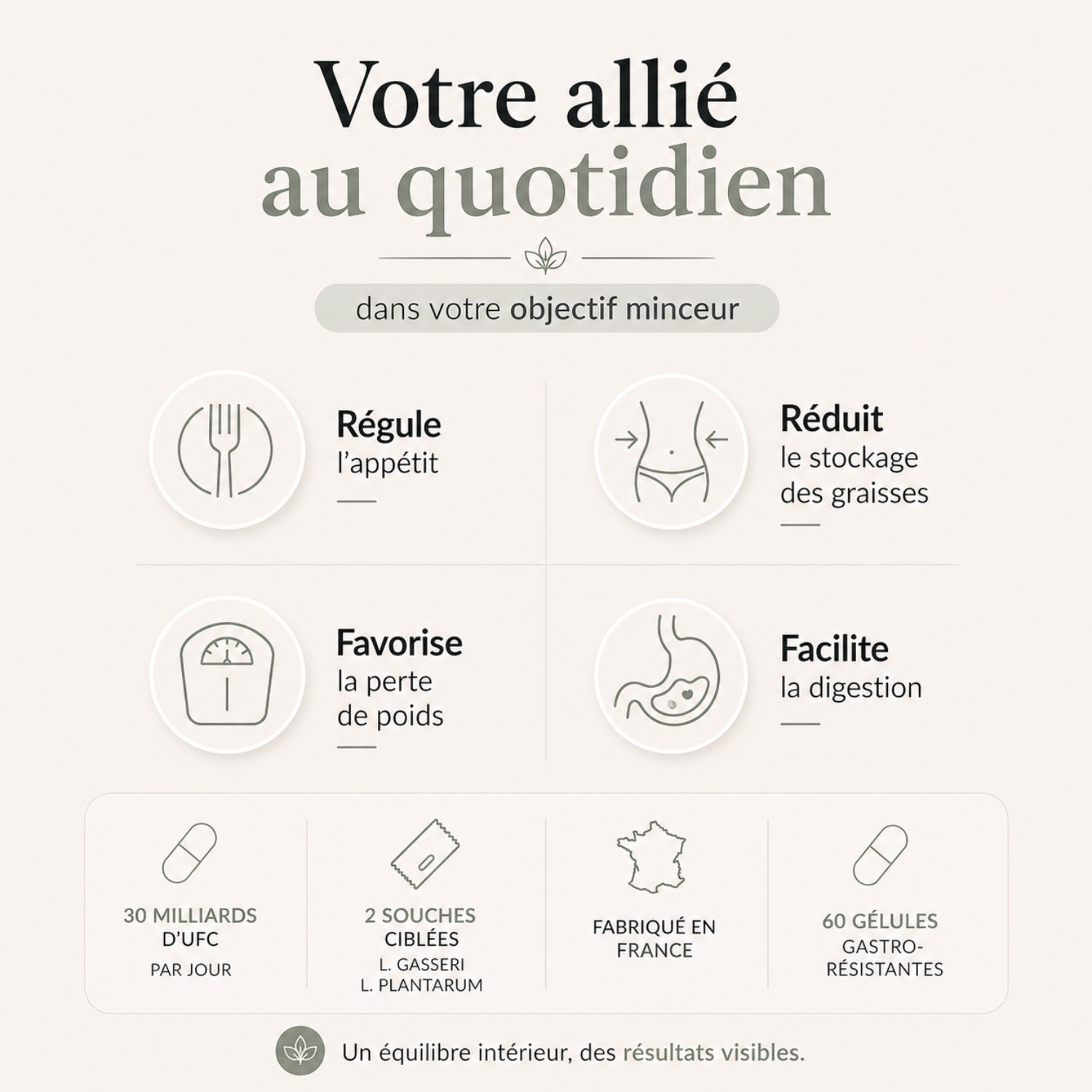 Probiotiques Minceur