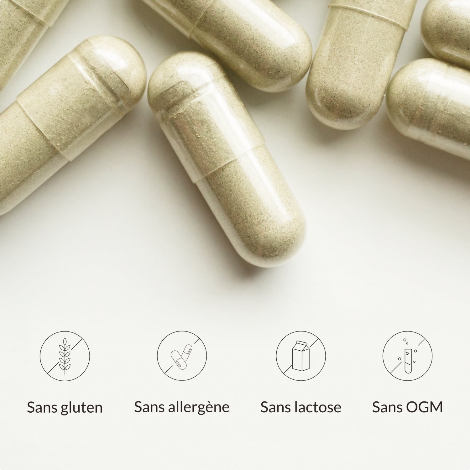 Pack Flore Intestinale & Orale