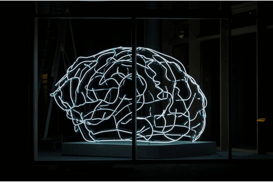 Santé mentale et intestinale : quel lien avec les probiotiques ? - noobiotik