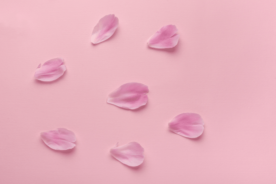 Qu’est-ce que la flore vaginale et comment en prendre soin ? - noobiotik