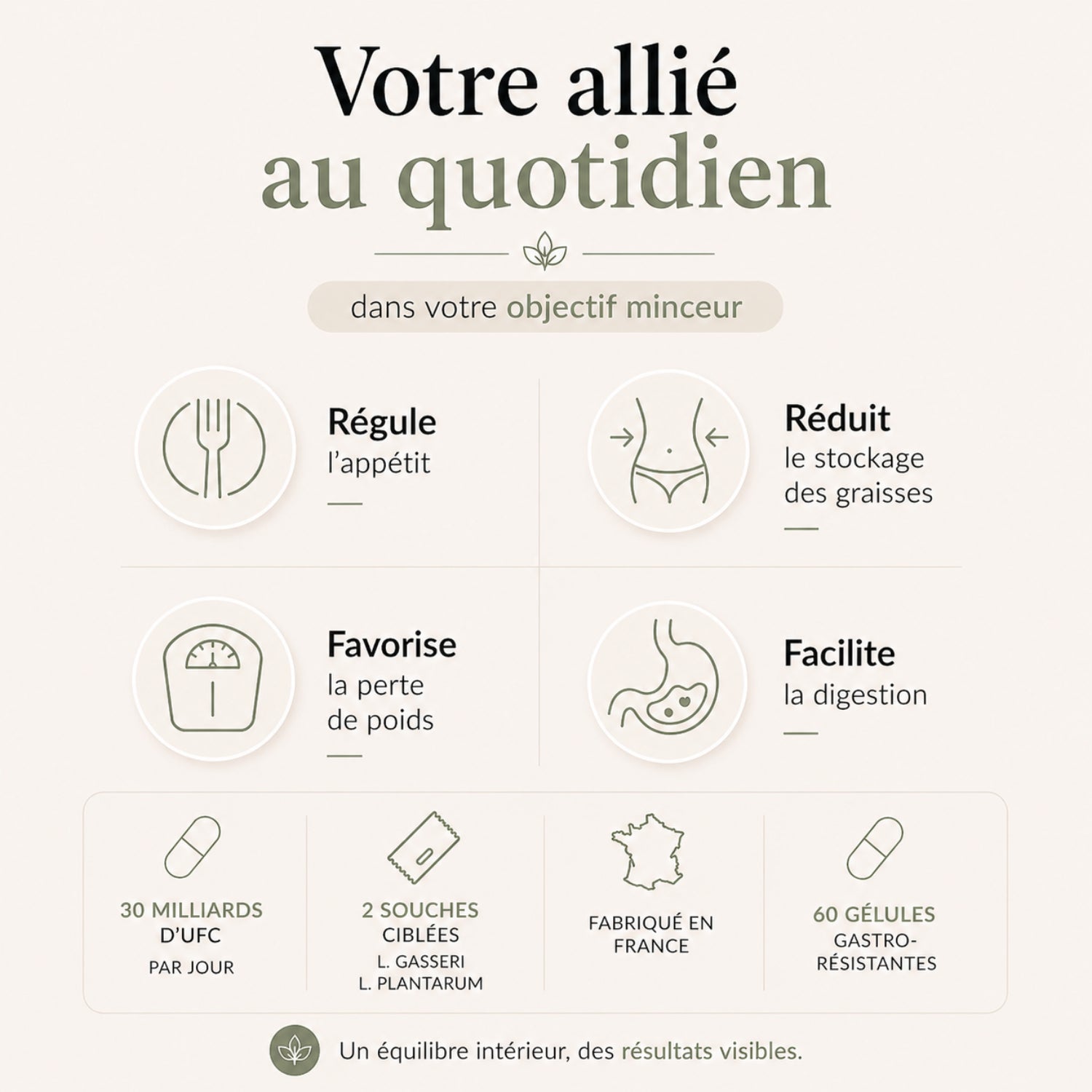 Probiotiques Minceur