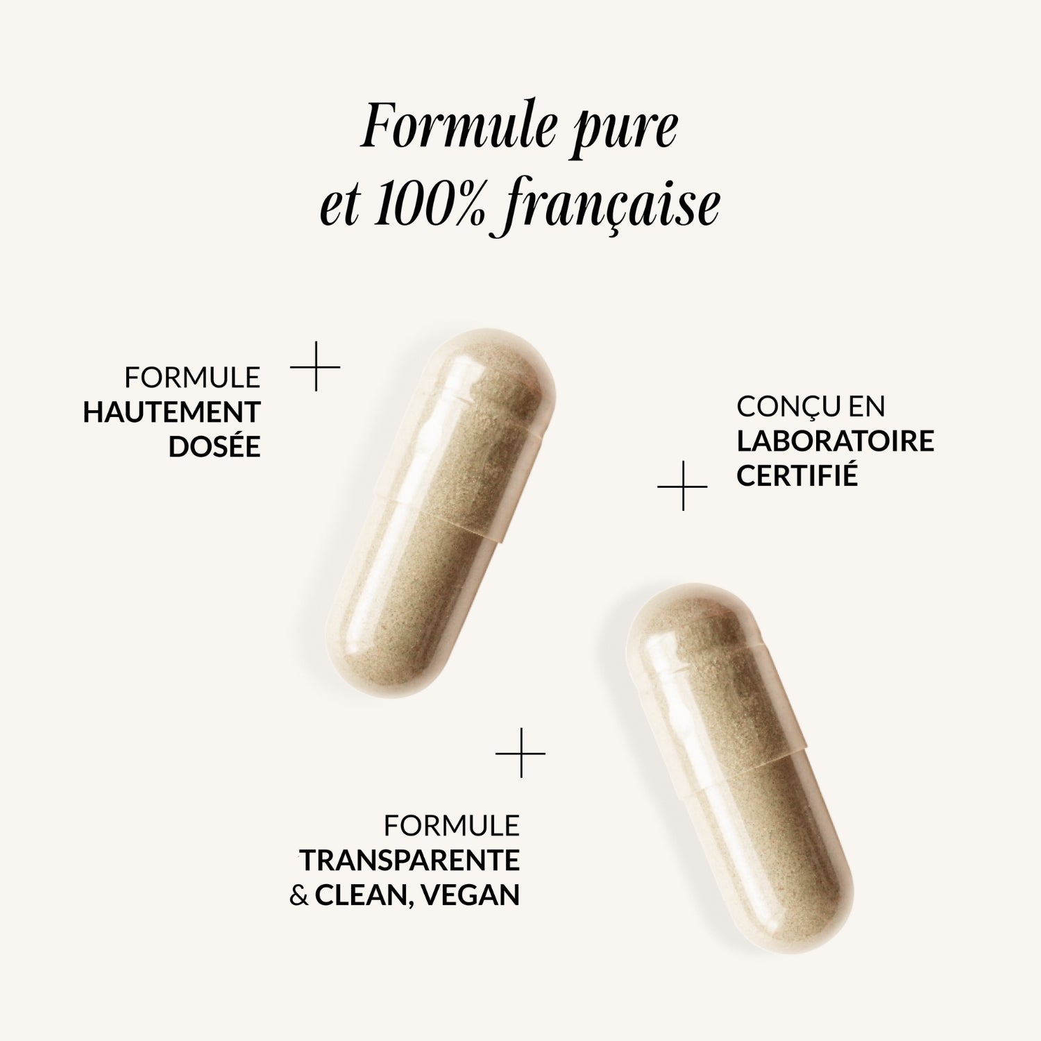Probiotiques Flore Intestinale
